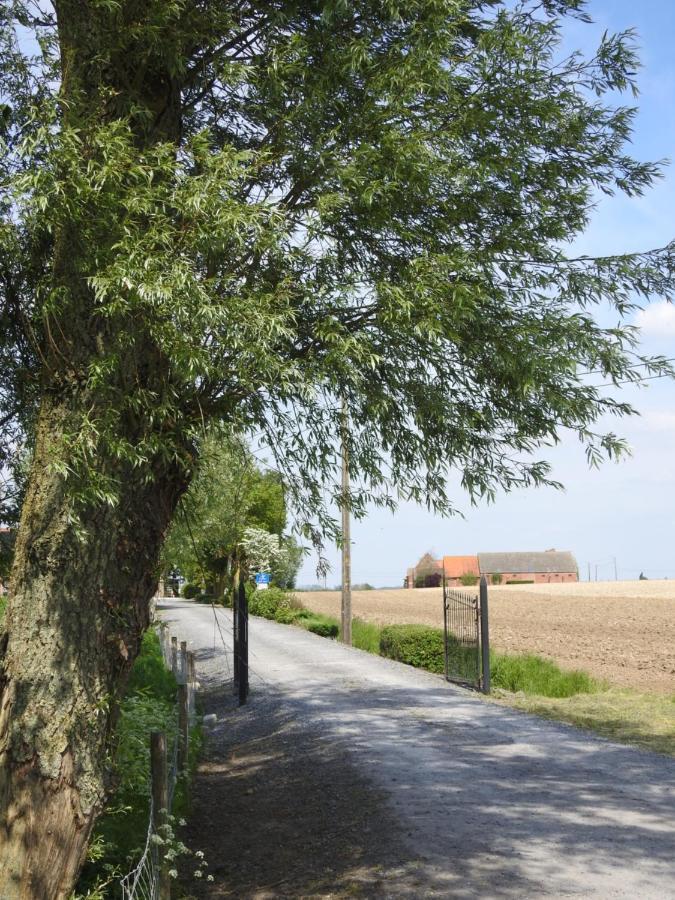 B&B De Linde Wijtschate Exteriör bild
