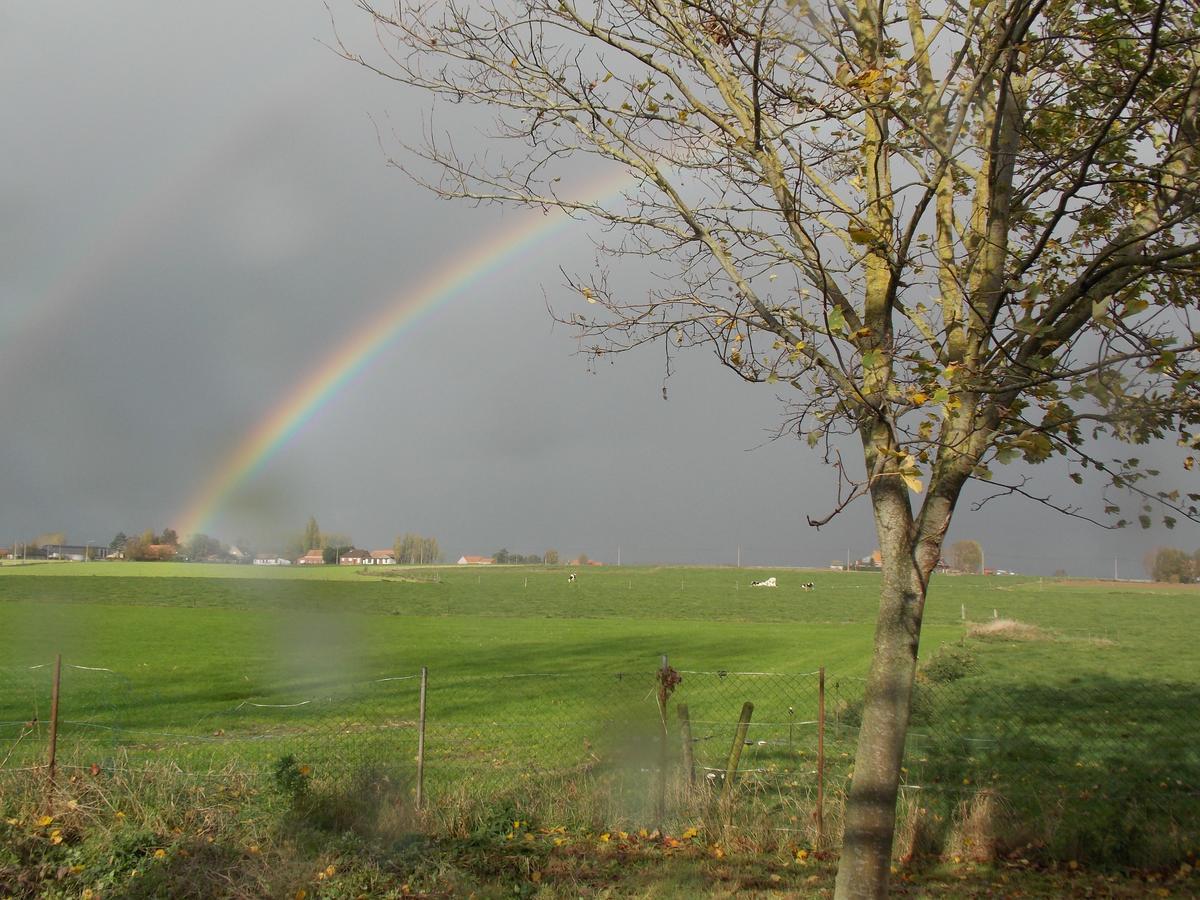 B&B De Linde Wijtschate Exteriör bild