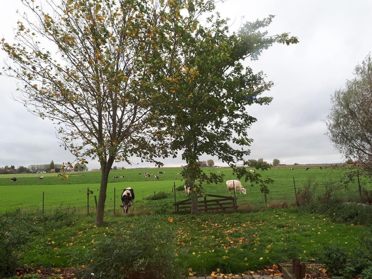B&B De Linde Wijtschate Exteriör bild